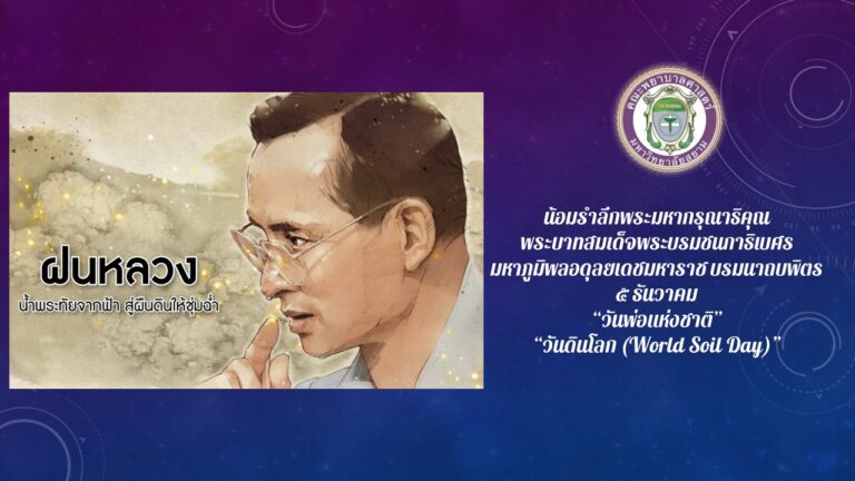 Slide2