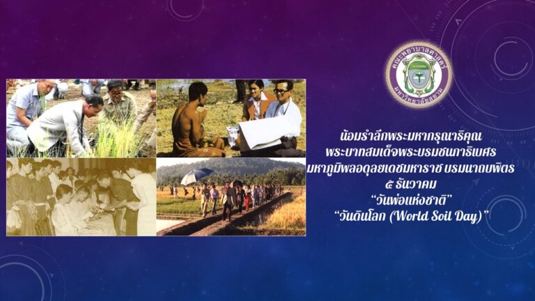 Slide4